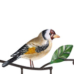 Bird wall key holder nz