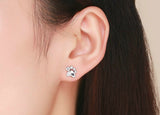 Cat Paw Earrings nz