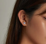Cat Scale Earrings nz