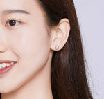 Cat Whisker Earrings nz