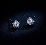 Cat Whisker Earrings nz