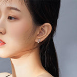 Ginkgo Leaf Earrings nz