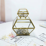 Glass and brass jewellery box nz