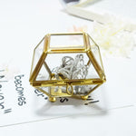 Glass and brass jewellery box Small format: 6 x cm nz