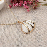 Gold and white shell necklace nz