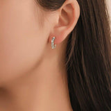 Horseshoe earrings nz