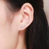 Hydrangea earrings nz