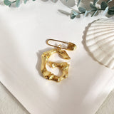 Initial brooch G nz