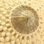 Japanese parasol nz
