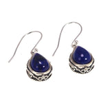 Lapis lazuli silver earrings nz