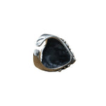 Lion head ring nz
