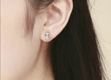 Loving Cute cat earrings nz