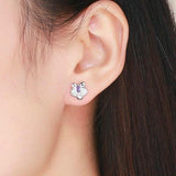 Orchid earrings nz