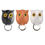 Owl key holder nz