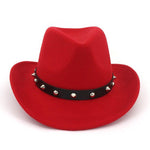 Party felt hat Red nz