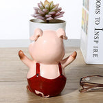 Pig glasses holder nz
