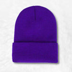 Purple beanie nz
