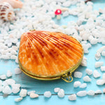 Shell Trinket Box nz