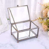 Silver glass jewellery box nz