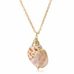 Simple shell necklace nz