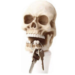 Skull wall key holder nz