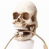 Skull wall key holder nz