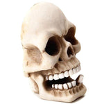 Skull wall key holder nz