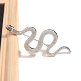 Snake brooch Silver nz