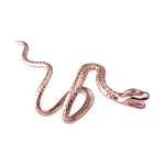 Snake clip on Earrings nz