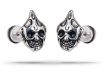 Stainless Steel Earrings Silver nz