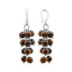 Tiger Eye Protection Earrings nz