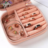 Travel Pink Jewellery Box nz