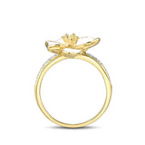 White flower ring nz